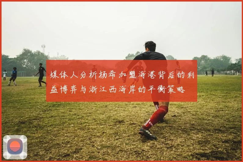 媒体人分析杨希加盟海港背后的利益博弈与浙江西海岸的平衡策略