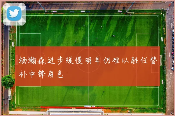 杨瀚森进步缓慢明年仍难以胜任替补中锋角色