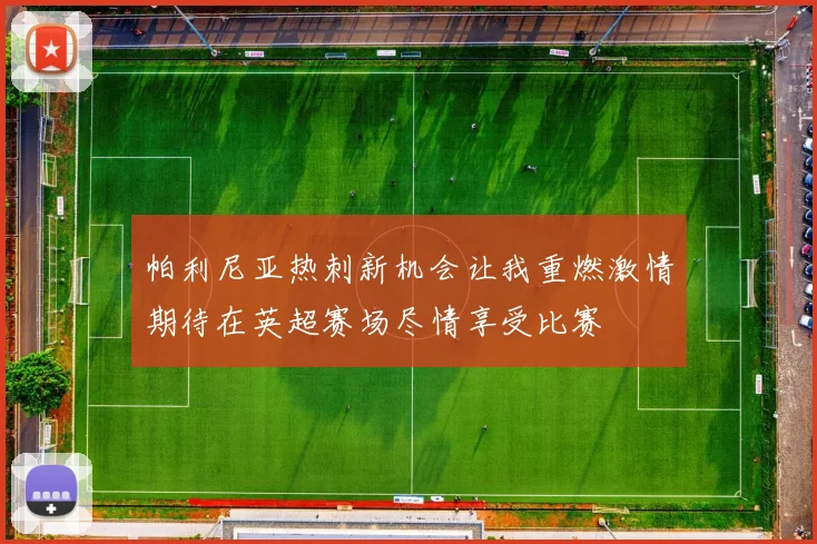 帕利尼亚热刺新机会让我重燃激情期待在英超赛场尽情享受比赛