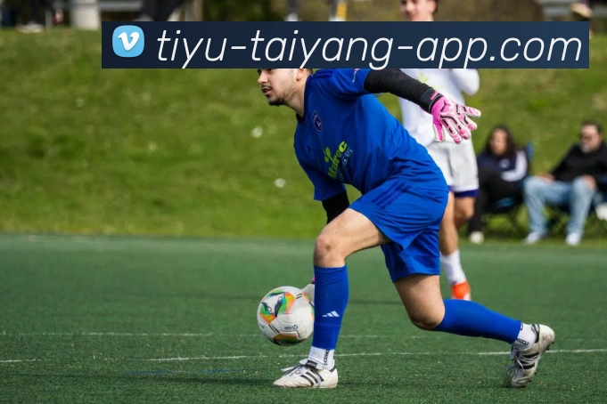 太阳城服务体系